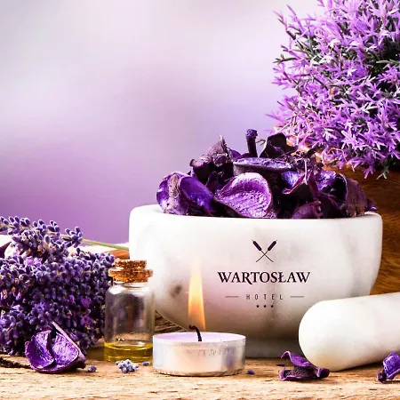 Stara Szkola Boutique 3* Wronki (Greater Poland)