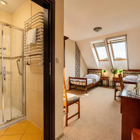 Stara Szkola Boutique 3* Wronki (Greater Poland)