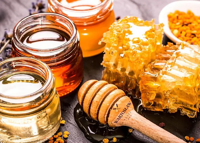 Stara Szkola Boutique Hotel Wronki (Greater Poland)