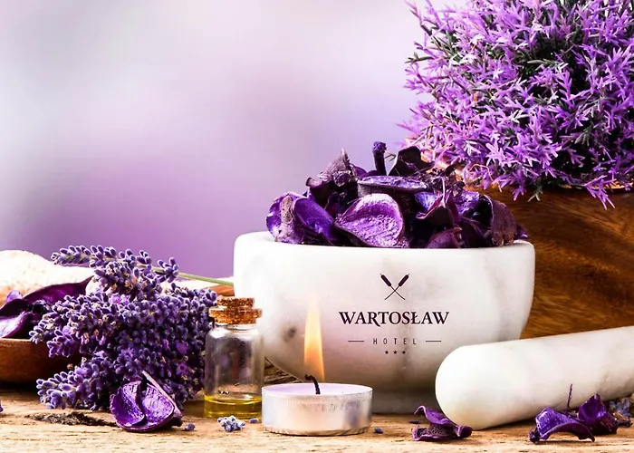 Stara Szkola Boutique 3* Wronki (Greater Poland)